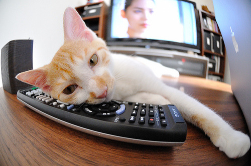 意甲球队利用机器学习预测对手进攻战术变化，意甲预测分析cman02。in