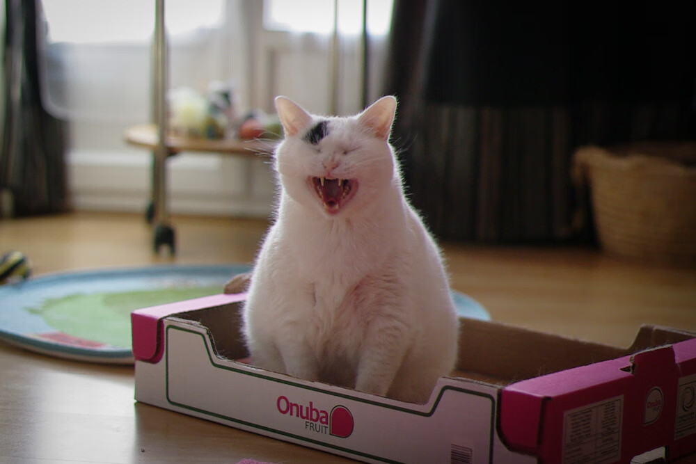 强侧逼抢引诱对方转移失误